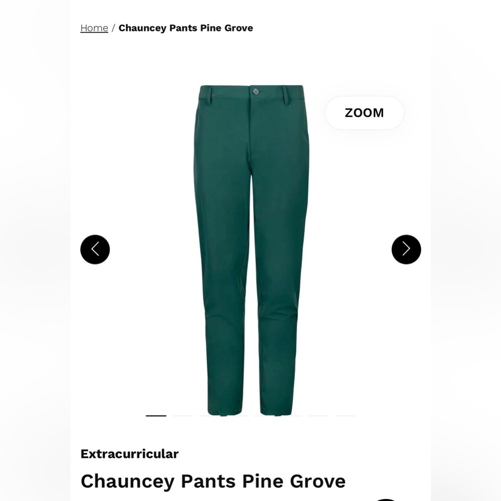 Men's Extracurricular Golf Pants in Pine Grove